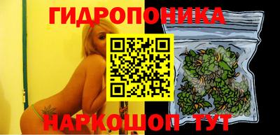 ешки Славгород