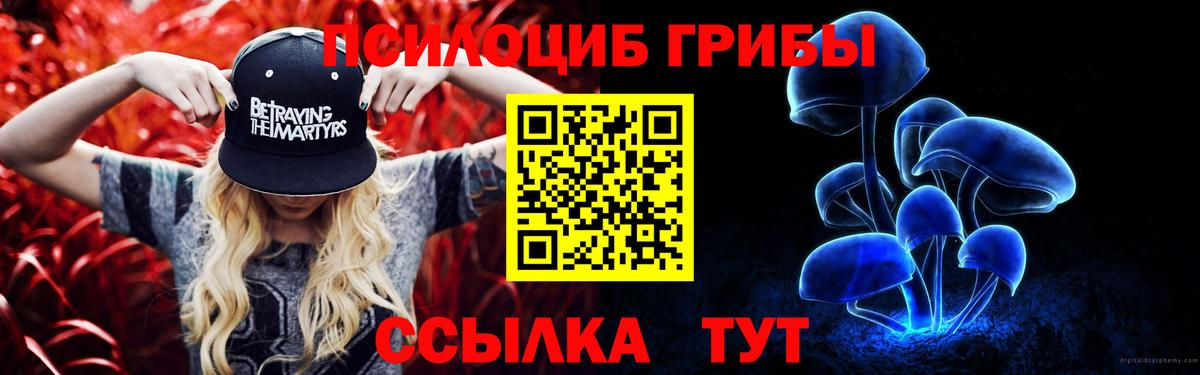 Псилоцибиновые грибы мухоморы  Галлюциногенные грибы Psilocybe  Отрадный  Вход с VPN 